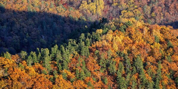 Теплый ноябрь в Приморье: температура превышает норму на 4 – 7 градусов