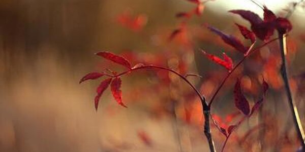 Холодная погода будет в Приморье на следующей неделе