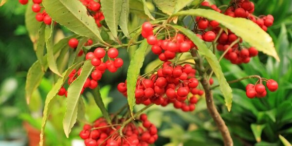 Почти летние температуры продолжают радовать жителей Приморья днем