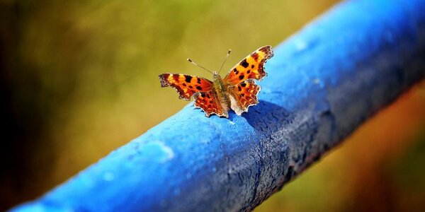 Теплая солнечная погода продержится в Приморье до четверга