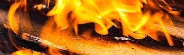 В Приморье отмечается высокий класс пожароопасности леса