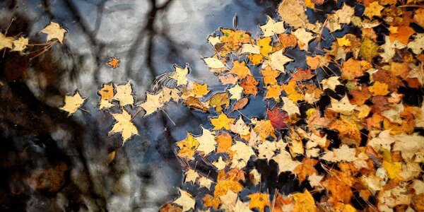 Небольшой и умеренный дождь пройдет местами в Приморье в четверг