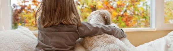 Учёные определили, почему собаки дружат с людьми