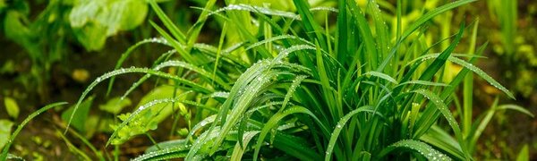 До 40 мм осадков выпало на побережье Приморья сегодня к утру