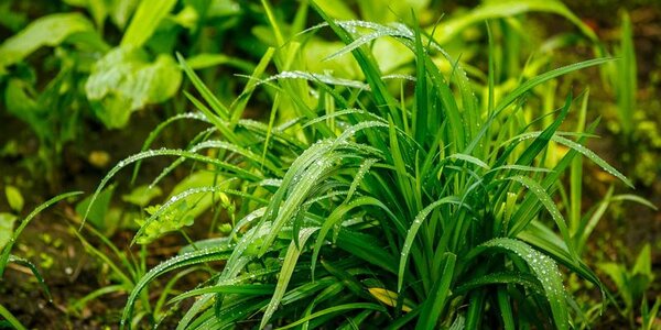 До 40 мм осадков выпало на побережье Приморья сегодня к утру