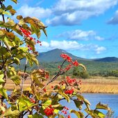 Сентябрь в Сихотэ-Алинском заповеднике – продолжение лета