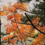 Сентябрь в Сихотэ-Алинском заповеднике – продолжение лета