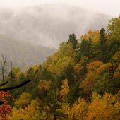 Сентябрь в Сихотэ-Алинском заповеднике – продолжение лета