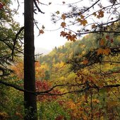 Сентябрь в Сихотэ-Алинском заповеднике – продолжение лета