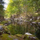 Сентябрь в Сихотэ-Алинском заповеднике – продолжение лета