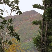 Сентябрь в Сихотэ-Алинском заповеднике – продолжение лета