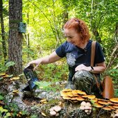 Сентябрь в Сихотэ-Алинском заповеднике – продолжение лета