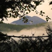 Сентябрь в Сихотэ-Алинском заповеднике – продолжение лета