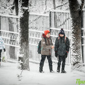 По Приморью шагает зима: снег, гололёд и похолодание до −20 °C