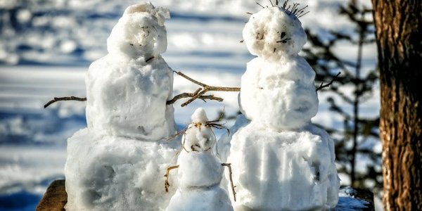 В Приморье местами прошел снег