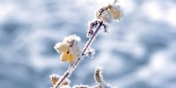 Март будет близким к климатической норме