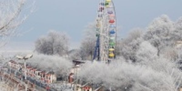 Февраль оказался экстремально теплым и малоснежным