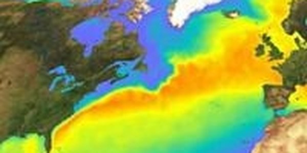 Роман Вильфанд: Гольфстрим жив!