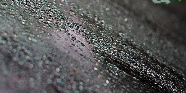 Дожди накроют западные и южные районы Приморья в воскресенье