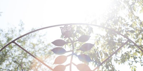 Наступил июль: температура воздуха в Приморье повышается