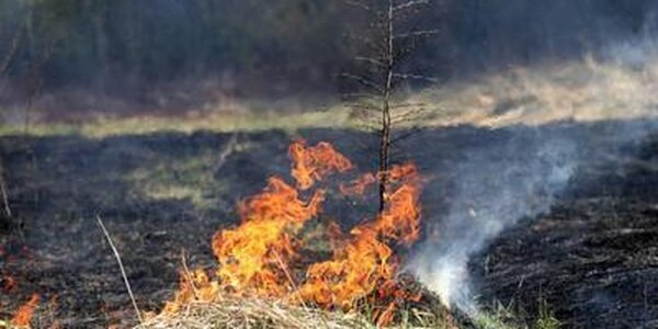 Уровень пожароопасности продолжает нарастать в Приморье