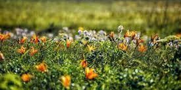 С какой погоды начнется второй месяц лета в Приморье, рассказали синоптики