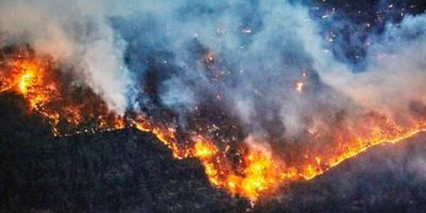 30 июня — 1 июля на севере Приморья сохранится 4 класс пожароопасности леса