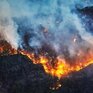 30 июня — 1 июля на севере Приморья сохранится 4 класс пожароопасности леса
