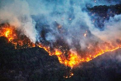 Лесные пожары горят в Шкотовском и Тернейском районе 