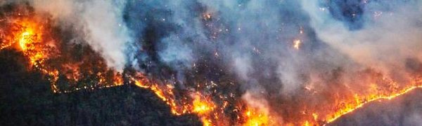 Лесные пожары горят в Шкотовском и Тернейском районе 