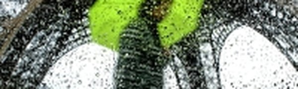 Сильнейшие ливни обрушились на восток Франции