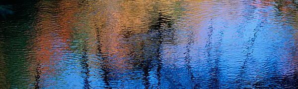 Температура воды в реках Приморья понизилась до 3-6 °С