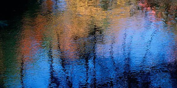 Температура воды в реках Приморья понизилась до 3-6 °С