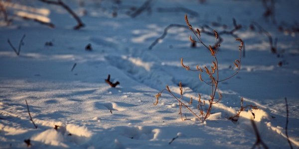 В Приморье сохраняется умеренно морозная погода