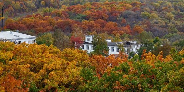 Октябрь в Приморье начнётся с дождя и похолодания