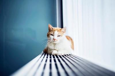 В Приморье начался отопительный сезон