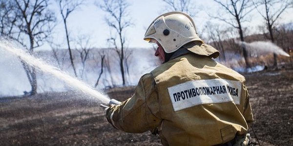 «Горячая линия» по предупреждению пожаров заработала в Приморье