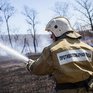 «Горячая линия» по предупреждению пожаров заработала в Приморье