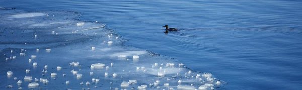 Синоптики дали прогноз на последние дни зимы в Приморье