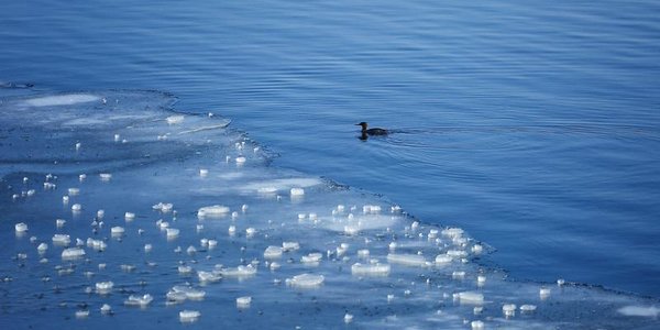 Синоптики дали прогноз на последние дни зимы в Приморье