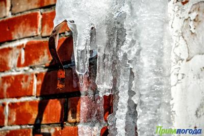 В выходные дни во Владивостоке ожидается оттепель до +7 °C