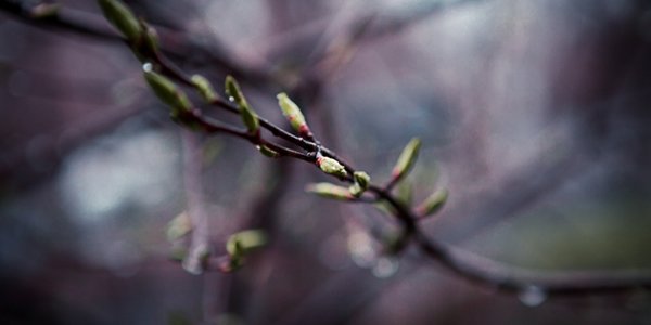 Завтра в Приморье пройдут дожди, местами со снегом