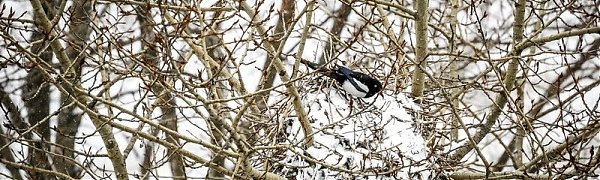 В четверг в Приморье местами пройдёт небольшой снег