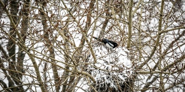 В четверг в Приморье местами пройдёт небольшой снег