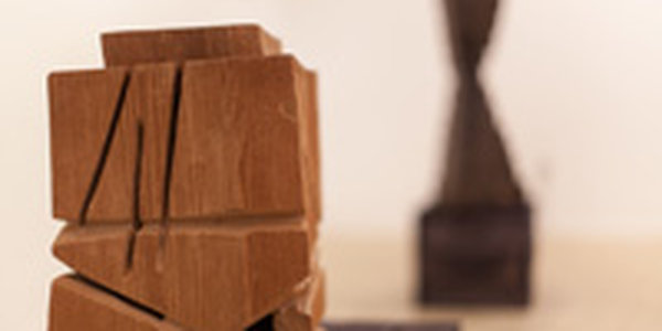 Как выглядит Стихия