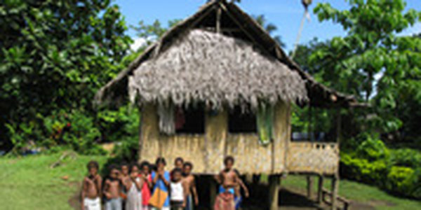 Мощное землетрясение произошло у берегов Папуа — Новой Гвинеи