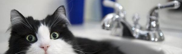 Часть Владивостока временно останется без горячей воды