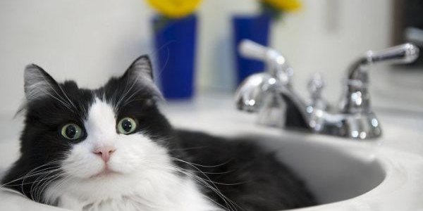 Часть Владивостока временно останется без горячей воды