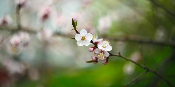 В пятницу во Владивостоке станет немного прохладнее