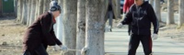 Общегородской субботник пройдёт завтра во Владивостоке